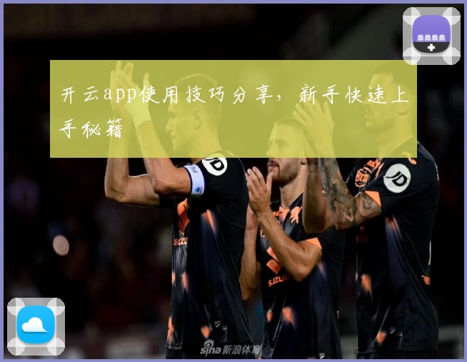 开云app使用技巧分享，新手快速上手秘籍