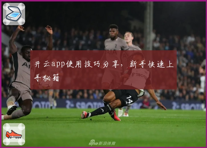 开云app使用技巧分享，新手快速上手秘籍